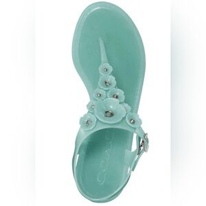 Coach Tea Rose Multi Jelly Sandals Sz. 8 EUC MSRP: $95.00